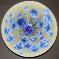 Crystalline Glazed Dish by Simon Rich