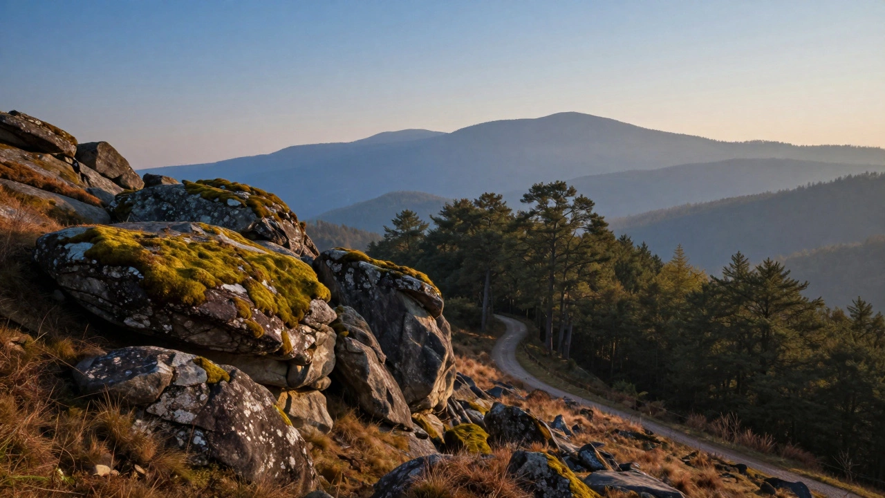 What Are the Four Main Parts of a Landscape Painting?